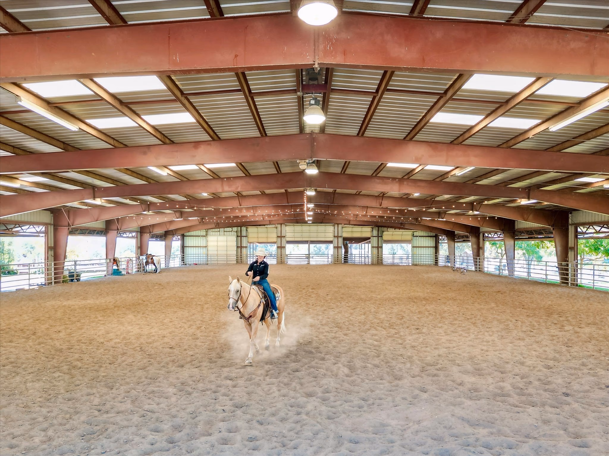 A horse and rider working in the covered riding arena, under a clear-span steel roof with the side walls open to daylight.