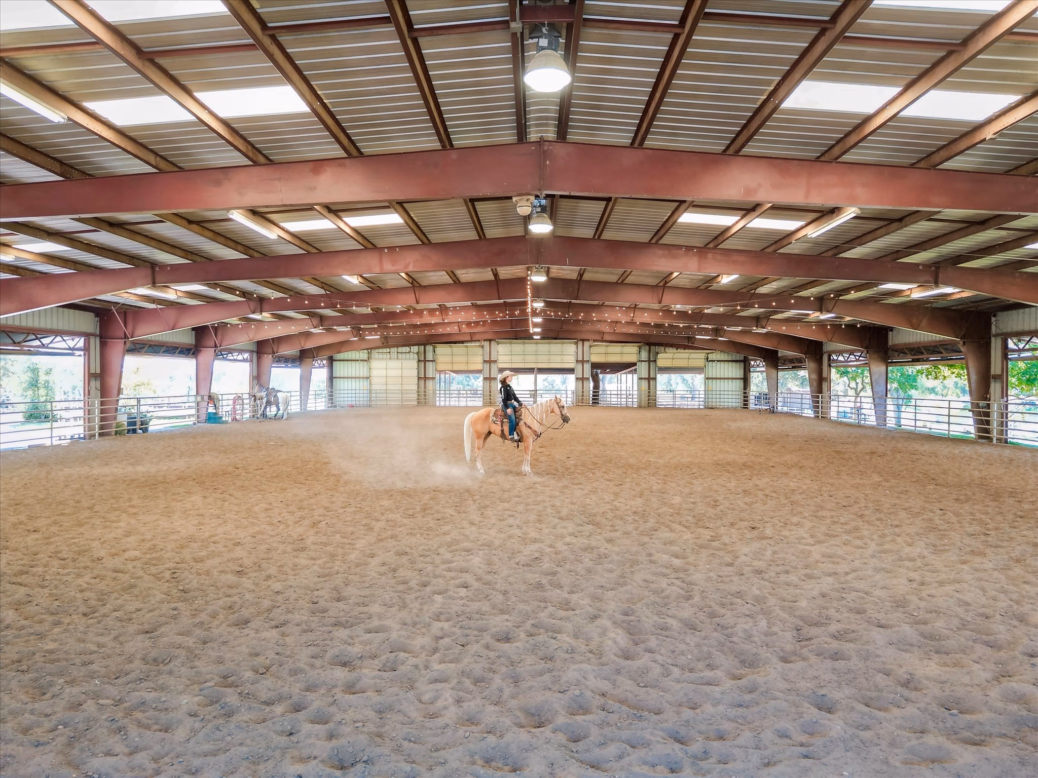 The full width of the covered arena, with a rider at the far end for scale and the doors open along both long sides.