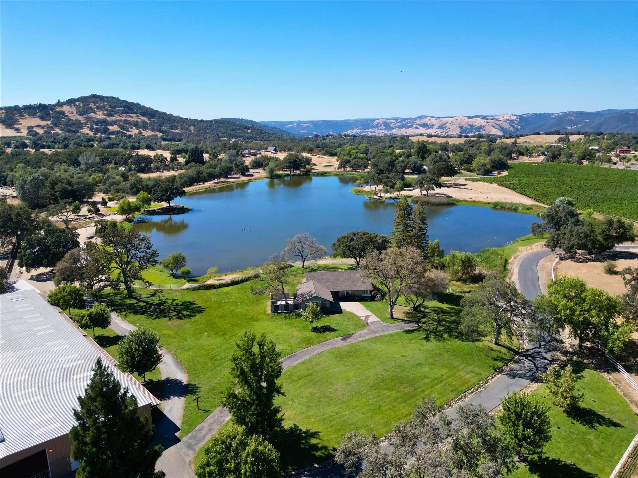 The lake from the air, with mown lawn, mature oaks and the vineyard blocks running up the far slope.