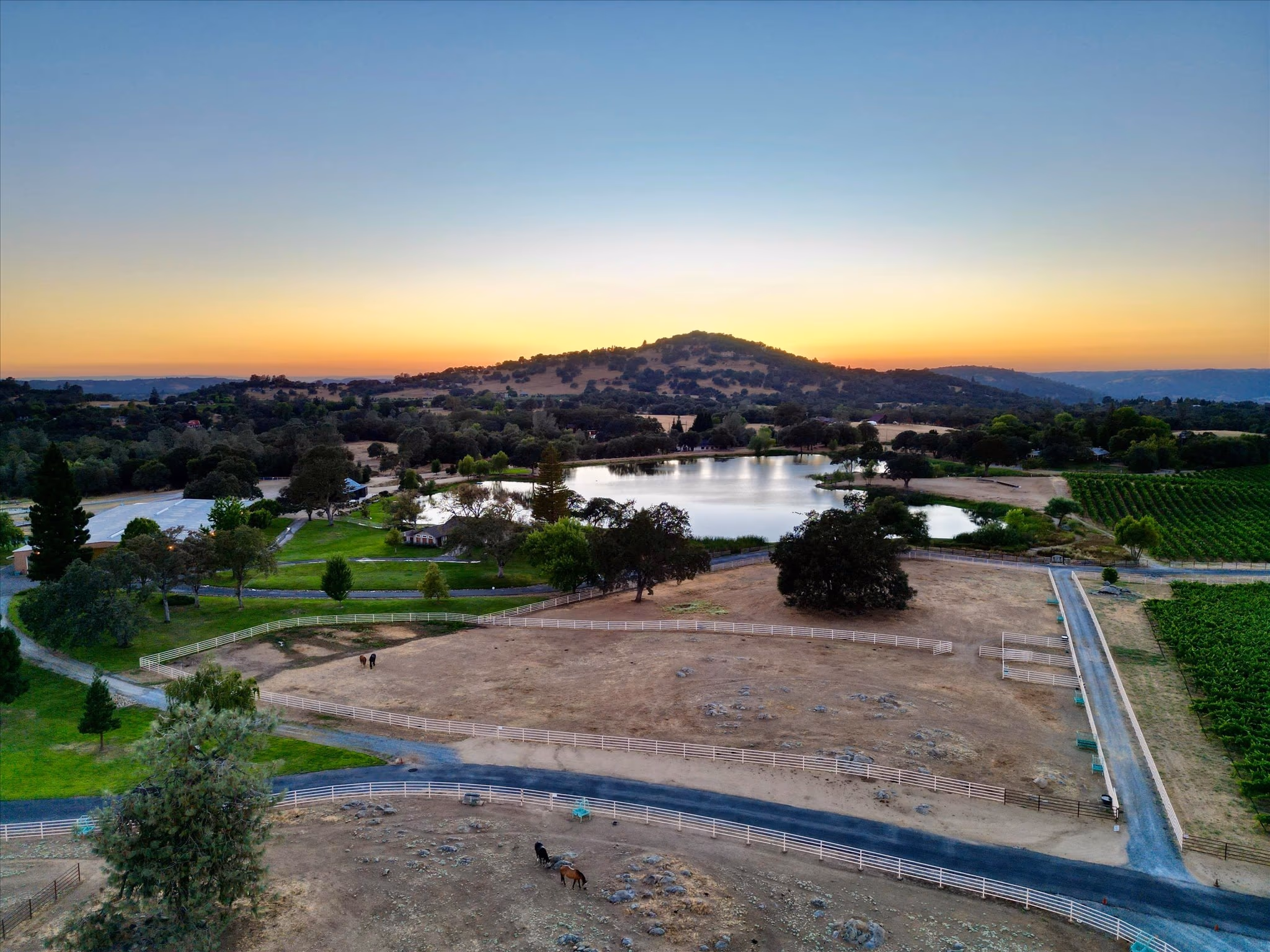The outdoor arena and paddocks at sunset, photographed from the air, with the lake, the vineyard and a conical foothill peak on the horizon.