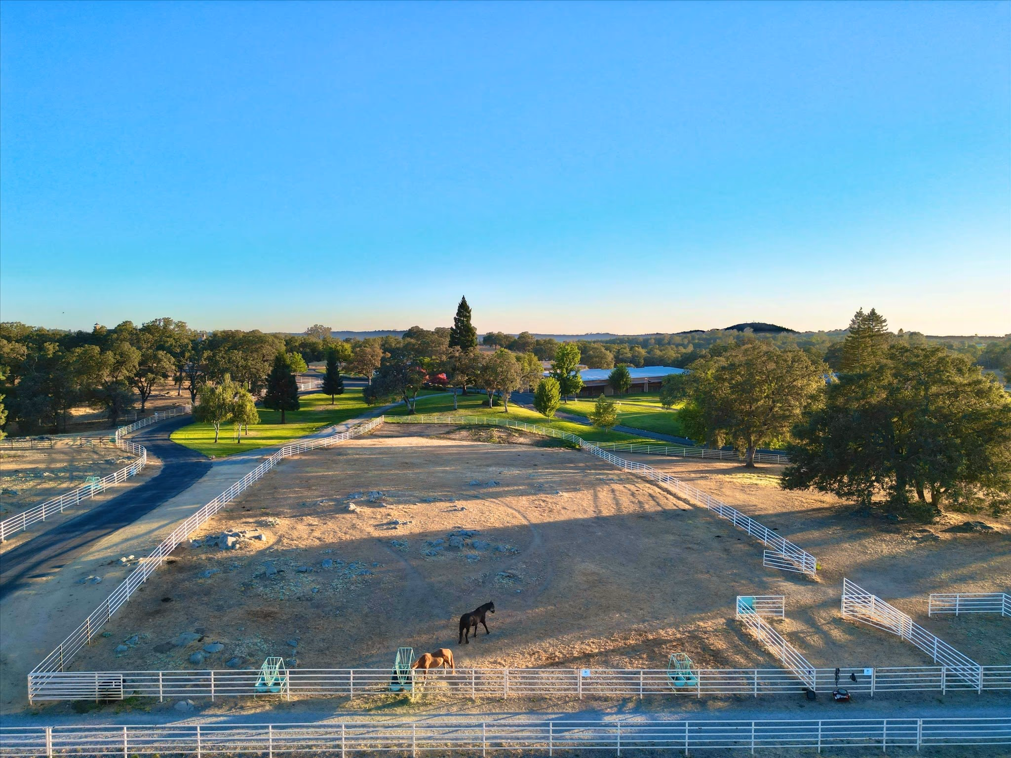 The outdoor arena, a graded sand arena inside pipe fencing, with horses turned out and oaks and foothills behind.