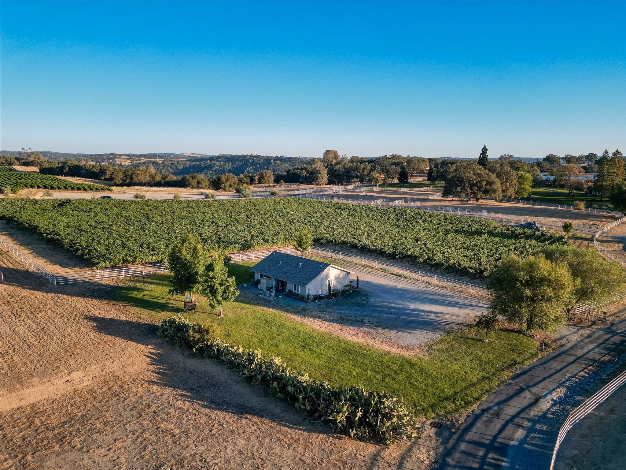 The guest residence from the air, a single-story house set at the edge of a planted vineyard block.