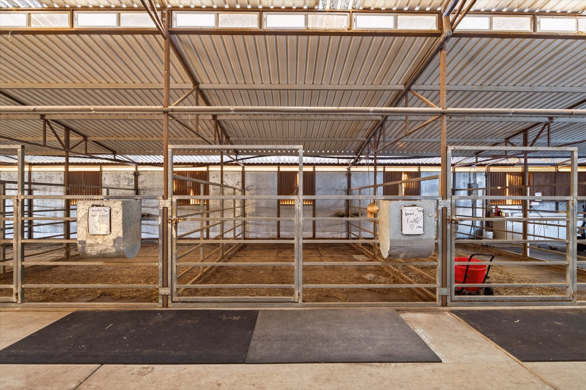 Covered pipe stalls in the show barn, with rubber matting, automatic waterers and a swept concrete aisle.