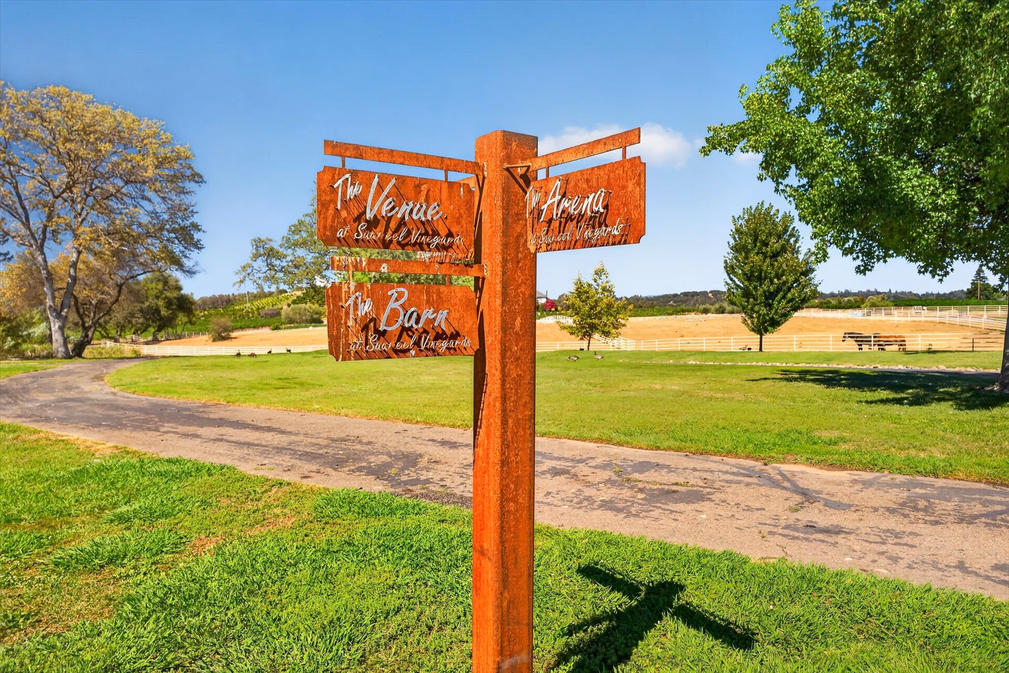 A timber signpost with three painted arms reading The Venue, The Arena and The Barn, standing on the lawn with the vineyard behind.