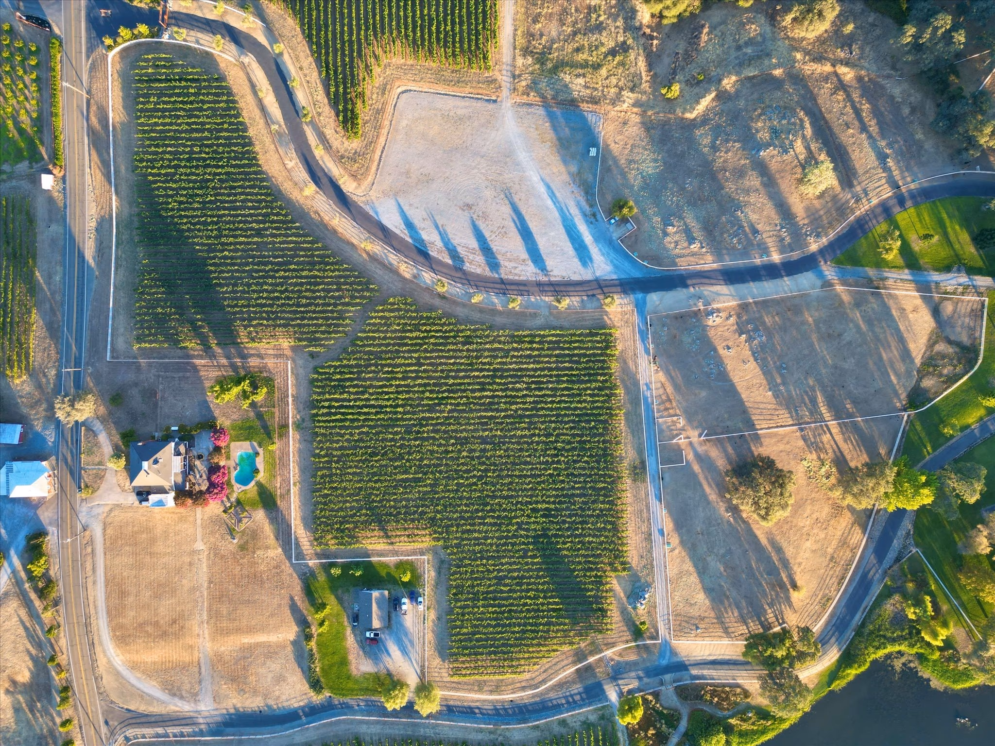 The vineyard and orchard blocks from directly overhead, showing the block boundaries, the service roads and the pond.